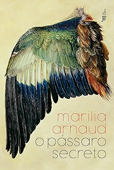 O Passaro Secreto Marilia Arnaud